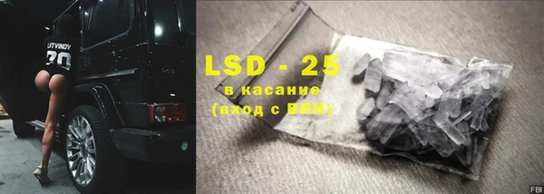 шишки Каменка