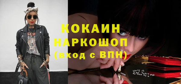 шишки Каменка