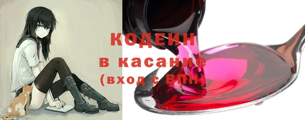 шишки Каменка