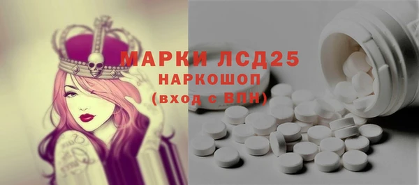 шишки Каменка