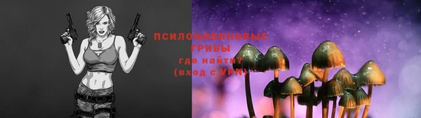шишки Каменка