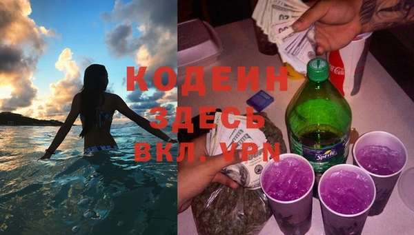 шишки Каменка