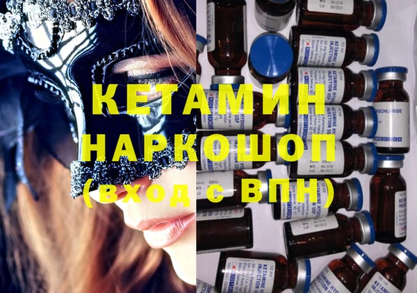 шишки Каменка