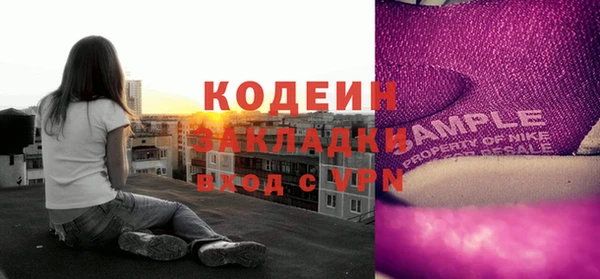 шишки Каменка
