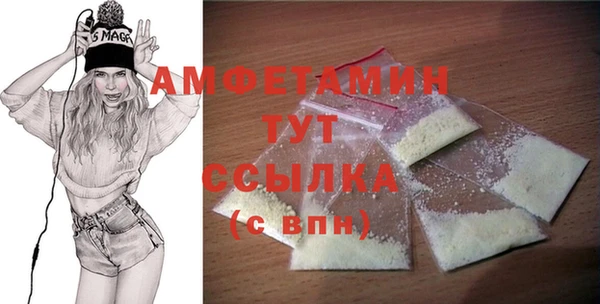 шишки Каменка
