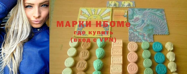 шишки Каменка