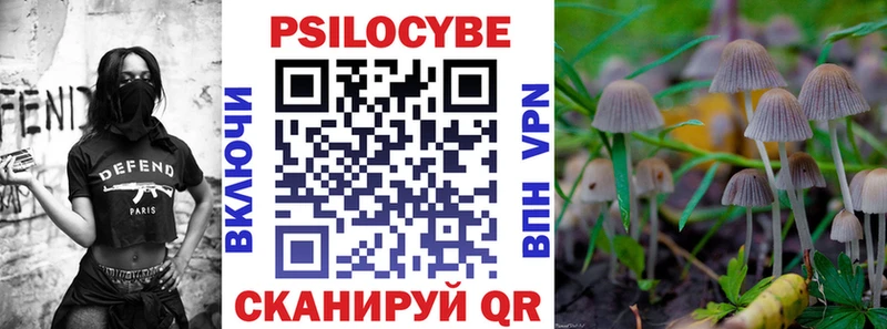Купить закладки  Иланский  Псилоцибиновые грибы Psilocybine cubensis 