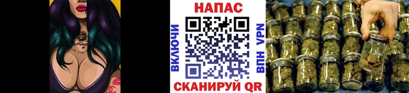 Марихуана Bruce Banner  Купить закладки  Иланский 